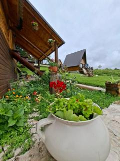 Koliba Luča Smrčevo Brdo - 6