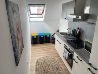 Casa Lauriacum - cozy apartment up to 8 guests - 3