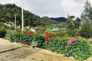 Siriliya Homestay - Foreign Tourists Only - 4