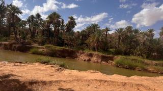 Bella suites taghit - 1
