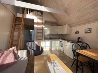 Bergland apartment 28- close to the center of Kragerø - 7