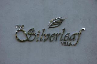 The Silverleaf Villa - 8