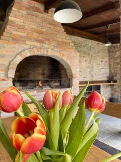 East Mountain Villa - Private Nature Retreat in Baranja - 1