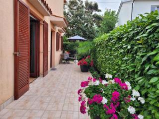 Apartman Perka - 3