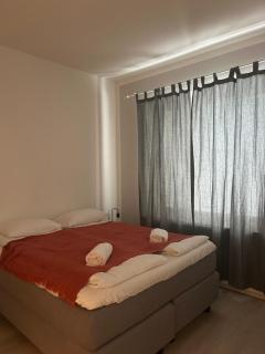 Condo Finlandia - in the heart of high culture - 7