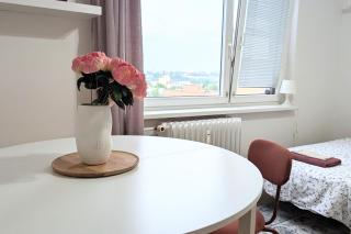 Panorama Apartment - 8