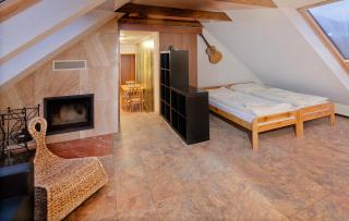 Wellness Penzión Rosnička - Kraľovany - 1