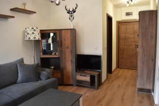 ADV Apartment - Bansko - 6