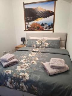 ADV Apartment - Bansko - 2