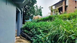 Tree House Bhagsu - 5