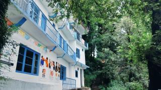 Tree House Bhagsu - 0