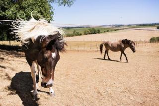 Domaine de Montaut - 0