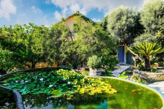 Olive tree Cottages - 0