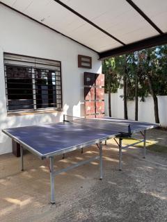 Finca Los Olivos & spa, animaux - 9