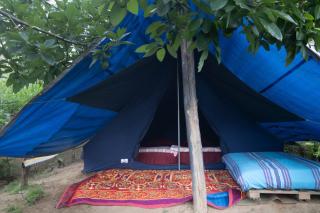 Freedom Camp, Ella - 6