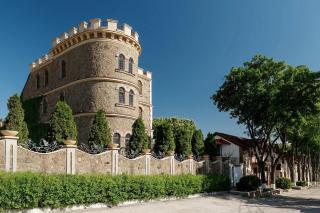 Hotel Chateau Cojusna - 0