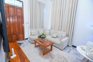 Prevail 1 BR apartment near Shoppers in Dodoma - 0