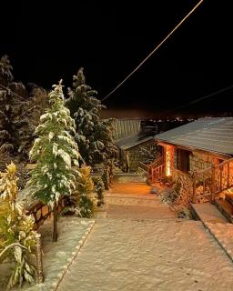 Çameli doğa hotel - 4