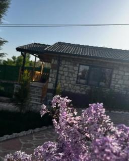 Çameli doğa hotel - 2