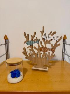 Camelia Apartment - 3