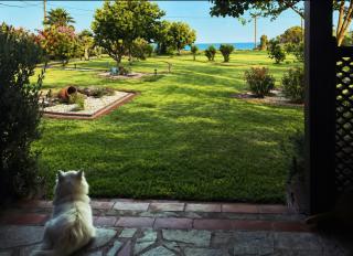 Nisaki Seafront Villa - 0