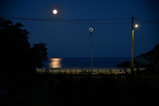 Nisaki Seafront Villa - 6
