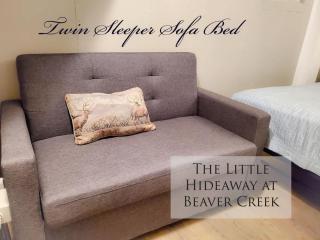 The Little Hideaway at Beaver Creek - 1