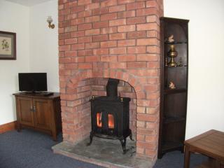 Bryn Cottage - Llandderfel - 7