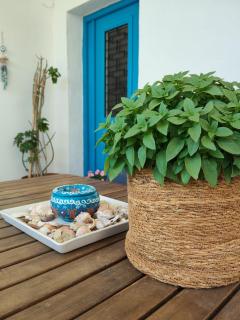 Kampos Family Garden - 9