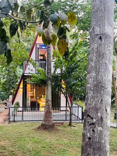Coconut Tree House - 9
