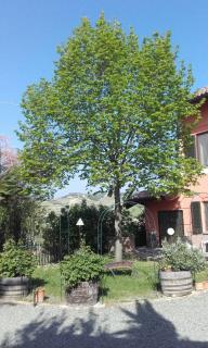 Cascina E&E - 7