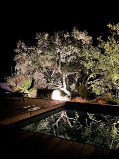 Villa Terra Vecchia -12 personnes, piscine chauffée, vue dégagée - 7