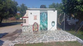 ''Mary's House'' Entire residence Olympiada Halkidiki Near to Sea 200m ! - 1