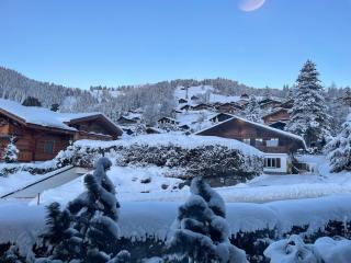 Chalet Apartment Chez Alberth in Schoenried - 4