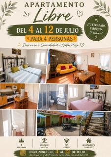Apartamentos casa Carola - 9