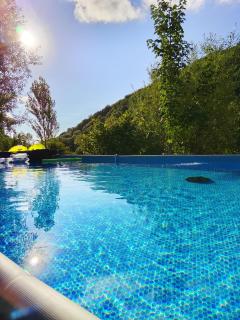 Coume a Case - Maison de charme 4 étoiles - piscine et spa - vallée d'Ossau - 4