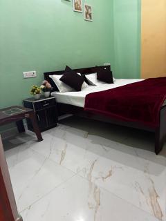 Hotel Paarvi Palace - 1