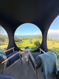 Birdbox Forland - 4