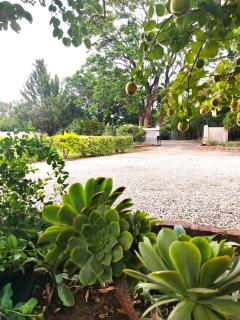 Riverside Cottages - 1