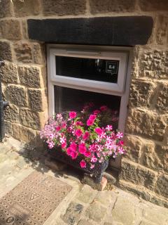 Ashfield - 2