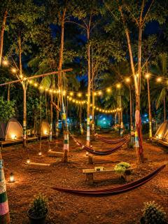 Eagle Swimming Pool Tent Stay - 5