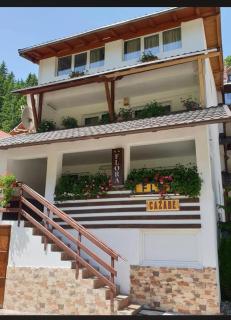 Pensiunea Flora TransFăgărășan - 3