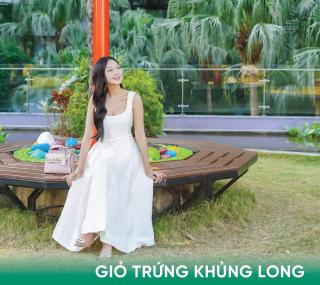 Flamingo Dai Lai Resort - Forest In The Sky Executive F220 - 2