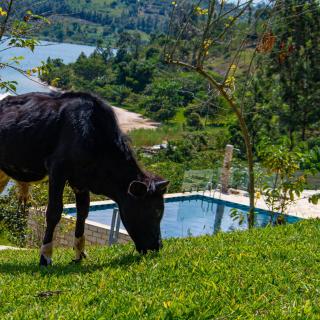 Umutuzo Lodge Kivu Lake - 2