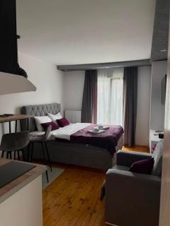 Apartman Ena - Nova Varoš - 0