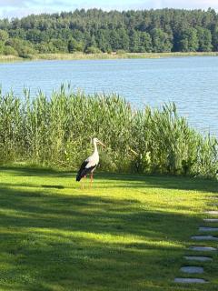 Mazury Lake View - 9
