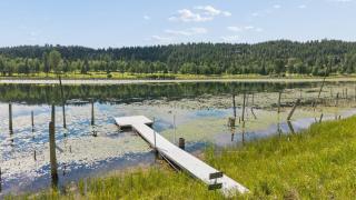 Lake View Escape - Whitefish - 3