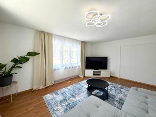 Trewia 7 - Apartment Vaduz - Free Parking - Terrace - 5