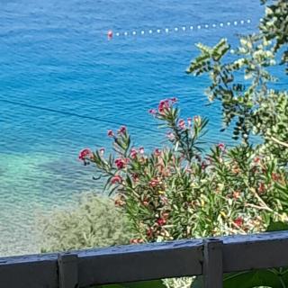Apartman Anđelka - 1