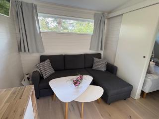 Modern Cabin in Stockholm Archipelago - 2